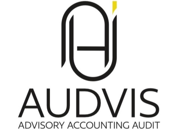 Audvis Logo Website cropped