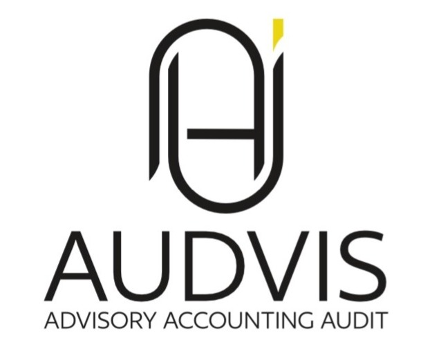 Audvis Logo Website